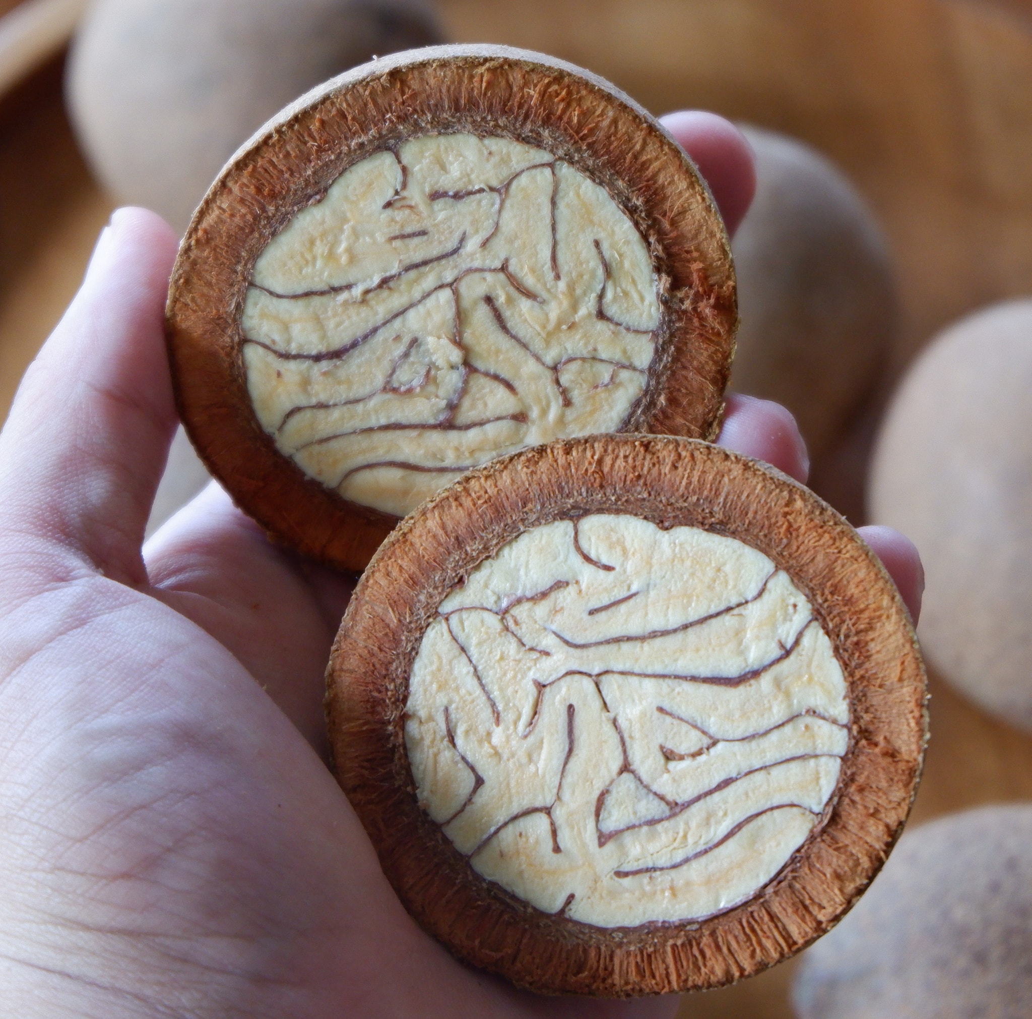 These local ingredients show that Filipino cuisine is a farreaching